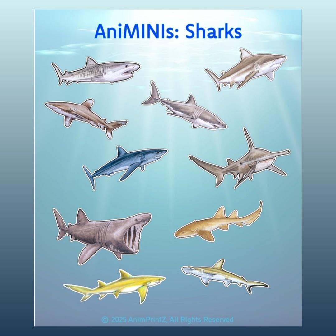 Animinis: Sharks Sticker Sheet, Matte Vinyl Ocean Animals - Etsy