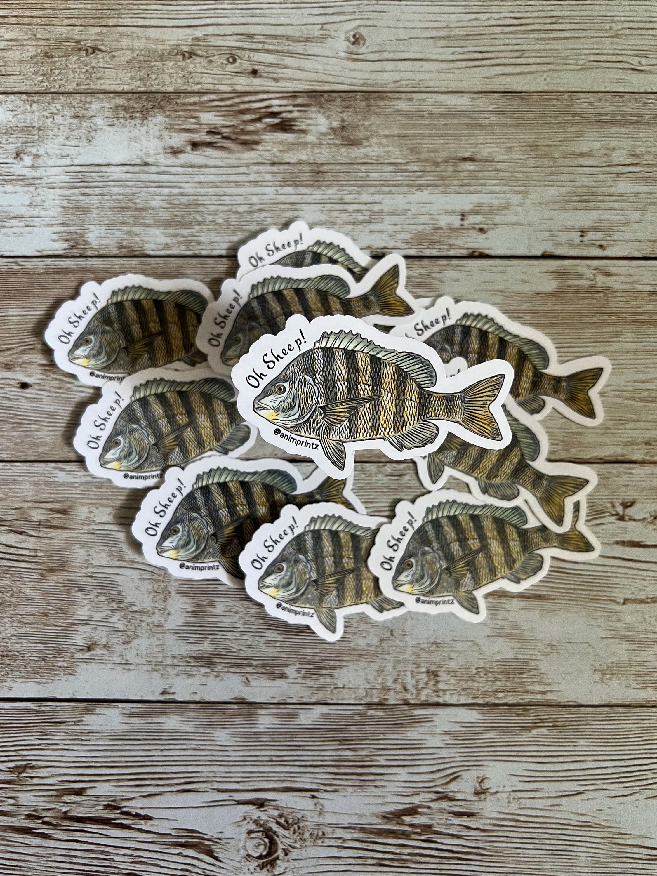 Sheephead Graphics Sheepshead Waterproof Vinyl Sticker - Etsy
