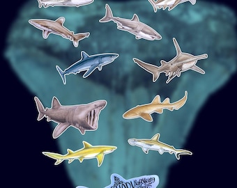 Waterproof Shark Sticker Pack: Ocean Animal Decals for Laptop, Water Bottle