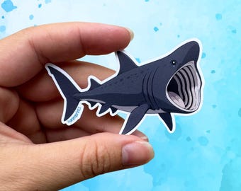 Anime Style Basking Shark Matte Vinyl Die-cut Waterproof Sticker