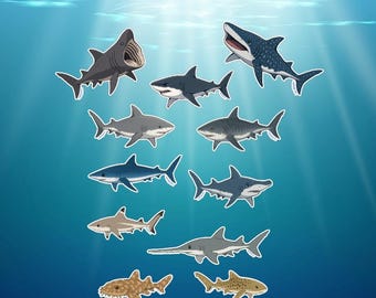 Shark Sticker Pack: Anime Style, Waterproof Vinyl Decals for Laptop, Water Bottle