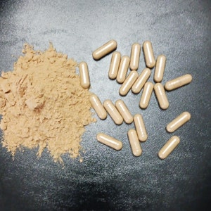 Lion&#39;s Mane Mushroom (Hericium erinaceus) Powder or Capsules, Organic.