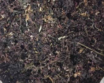 Irish Moss (Chondrus Crispus, Maine) Dried or Gel, *Authentic* Wildcrafted.