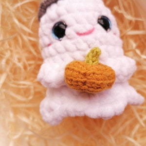 May include: A white crocheted ghost holding a small orange crocheted pumpkin. The ghost has black eyes and a pink mouth.