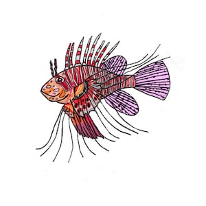 Mombasa Lionfish