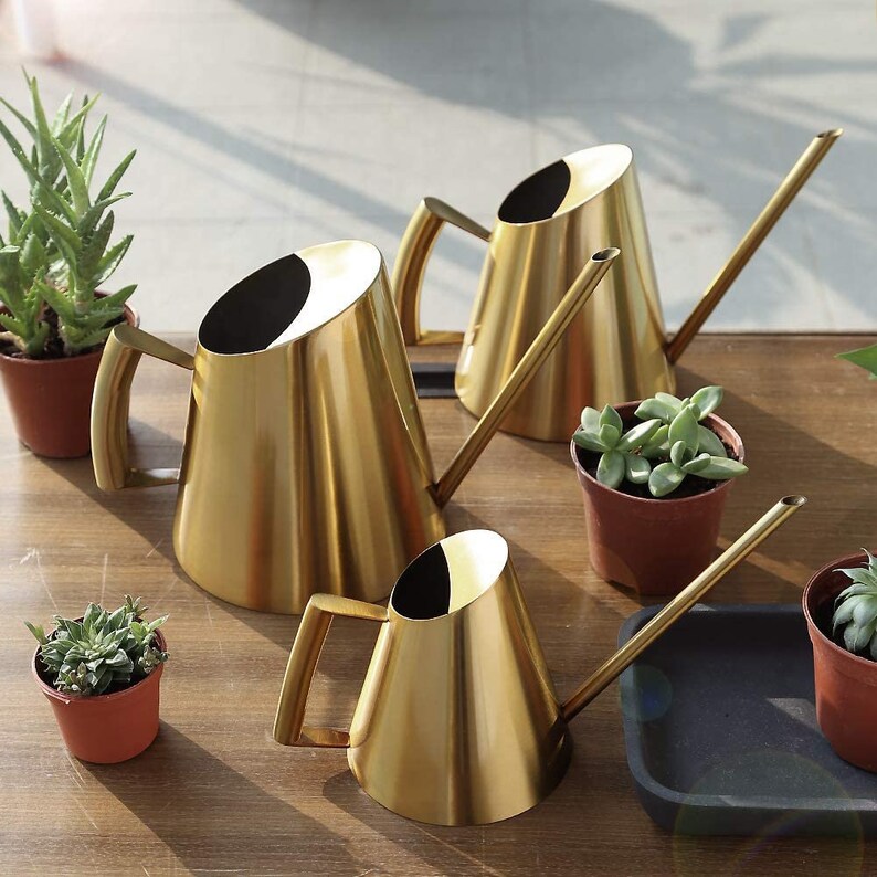 Watering Can Perfect Watering Can Indoor Plants Brass Watering Can