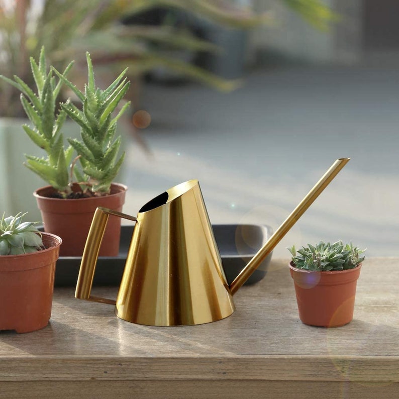 Watering Can Perfect Watering Can Indoor Plants Brass Watering Can