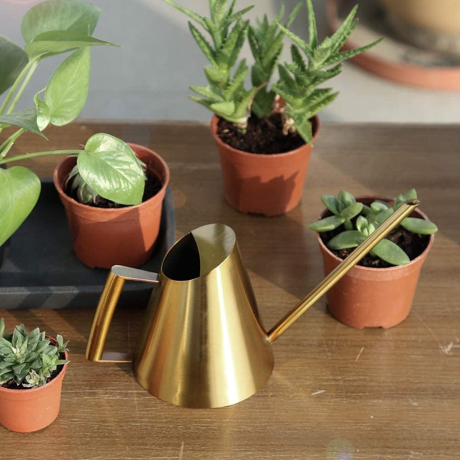 Watering Can Perfect Watering Can Indoor Plants Brass Watering Can