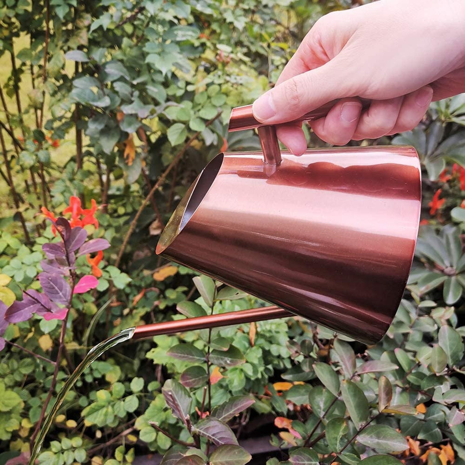 Watering Can Perfect Watering Can Indoor Plants Brass Watering Can