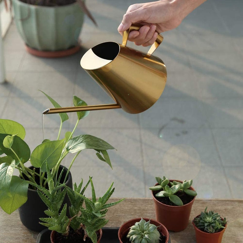 Watering Can Perfect Watering Can Indoor Plants Brass Watering Can