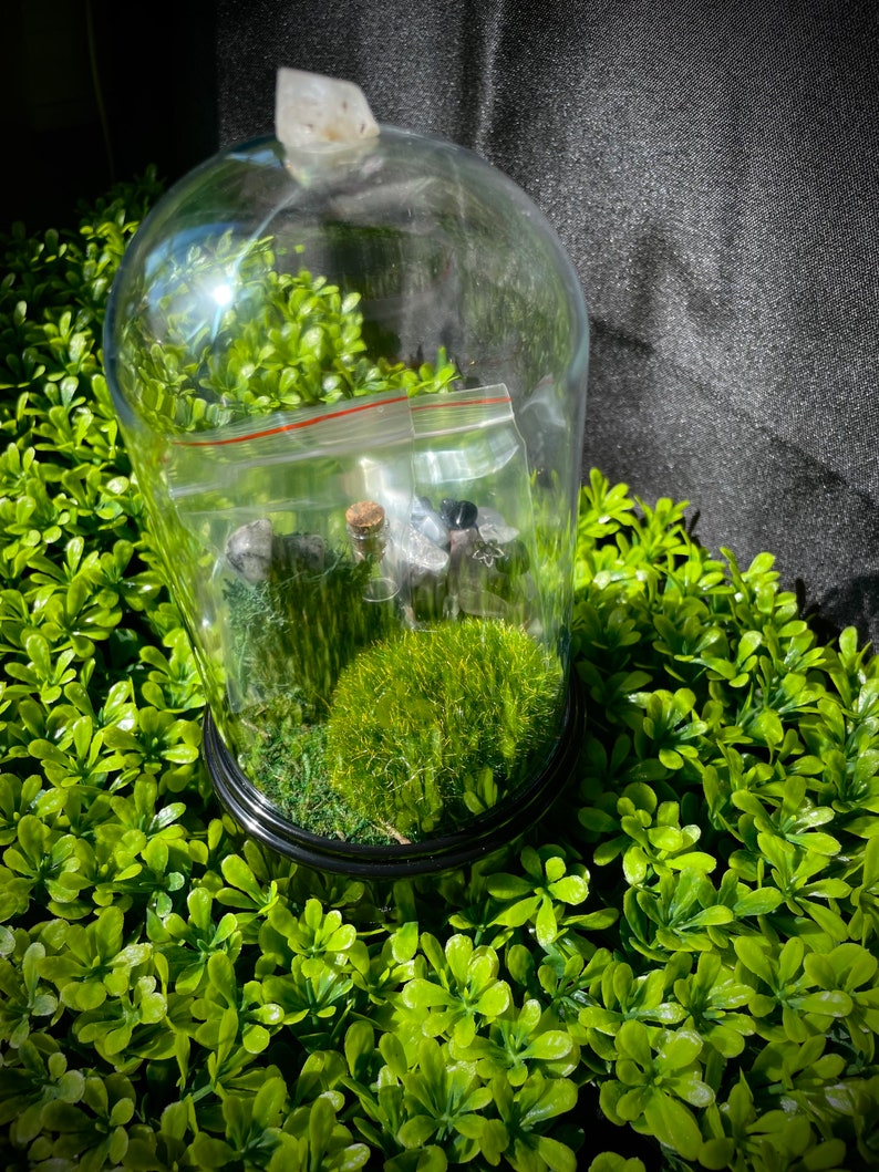 Crystal Critter & DIY Terrarium Crystal Hedgehog With Etsy