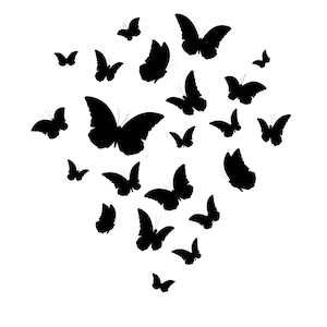 Ilustração de borboletas desenhadas à mão SVG Preto e Branco Silhueta Monarca Borboleta Clipart Vetor Arquivo de corte para Cricut Digital Download PNG