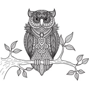 Handgetekende uil illustratie SVG clipart nacht nachtvogel vector bestanden silhouet snijden bestanden voor Cricut digitale download Hooter PNG JPG