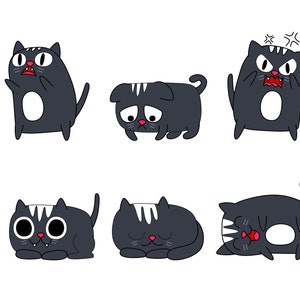 Lustige Katze SVG Bundle, Katze SVG, Kätzchen SVG, Katzendame SVG, verrückte Katzendame SVG, Katzenliebhaber SVG, Katzen SVG, Kitty SVG, Cut File Cricut, Silhouette