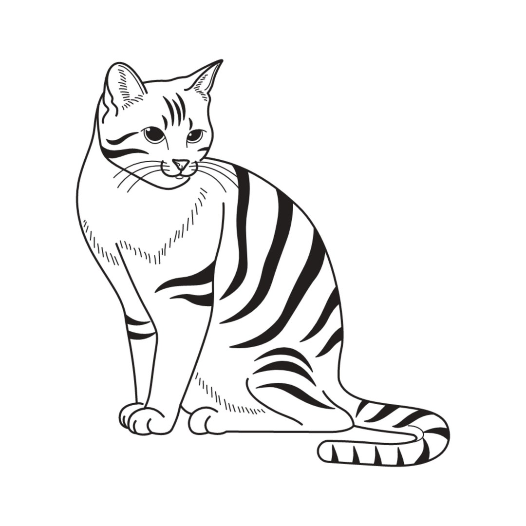 Cartoon Cat Clipart Black And White At Amber Boniwell Blog Cartoon Cat Clipart Black And White At Amber Boniwell Blog