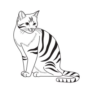 Gato dibujado a mano, contorno SVG, ilustración en blanco y negro, lindo gatito, silueta, vector, archivo de corte para uso comercial de Cricut, PNG, JPG, eps
