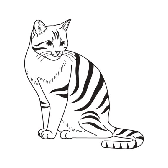 Angry Cat Black And White Drawing Vector Illustration Outline