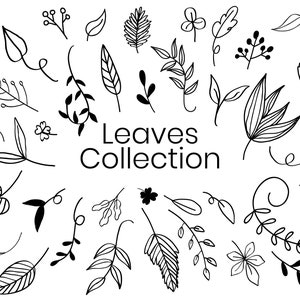 Skeleton Leaves SVG Mega Bundle, Blätter svg Mega SET, Blatt-Svg-Datei 40+ Blatt-Designs, Blätter schneiden svg, Kranzelemente svg, Pflanzen svg, Cricut