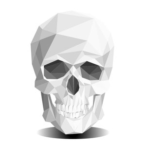 May include: A white, geometric skull with a low-poly design. The skull is rendered in a 3D style with a shadow underneath.