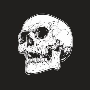 Hand Drawn Vintage Skull Black Background illustration SVG Retro Skeleton Head Clipart Vector Silhouette Cut files for Cricut Commercial Use
