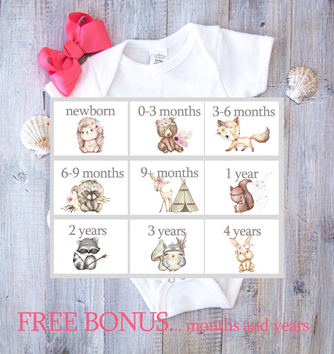 Baby Drawer Labels Printable Labels Woodland Animal Drawer Etsy