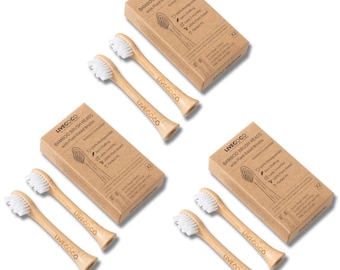 Bambus Philips Sonicare Kompatible elektrische Bürstenköpfe (6 Zählungen) - Kompostierbar, Erwachsene, pflanzliche Borsten, recycelbar, nachhaltig