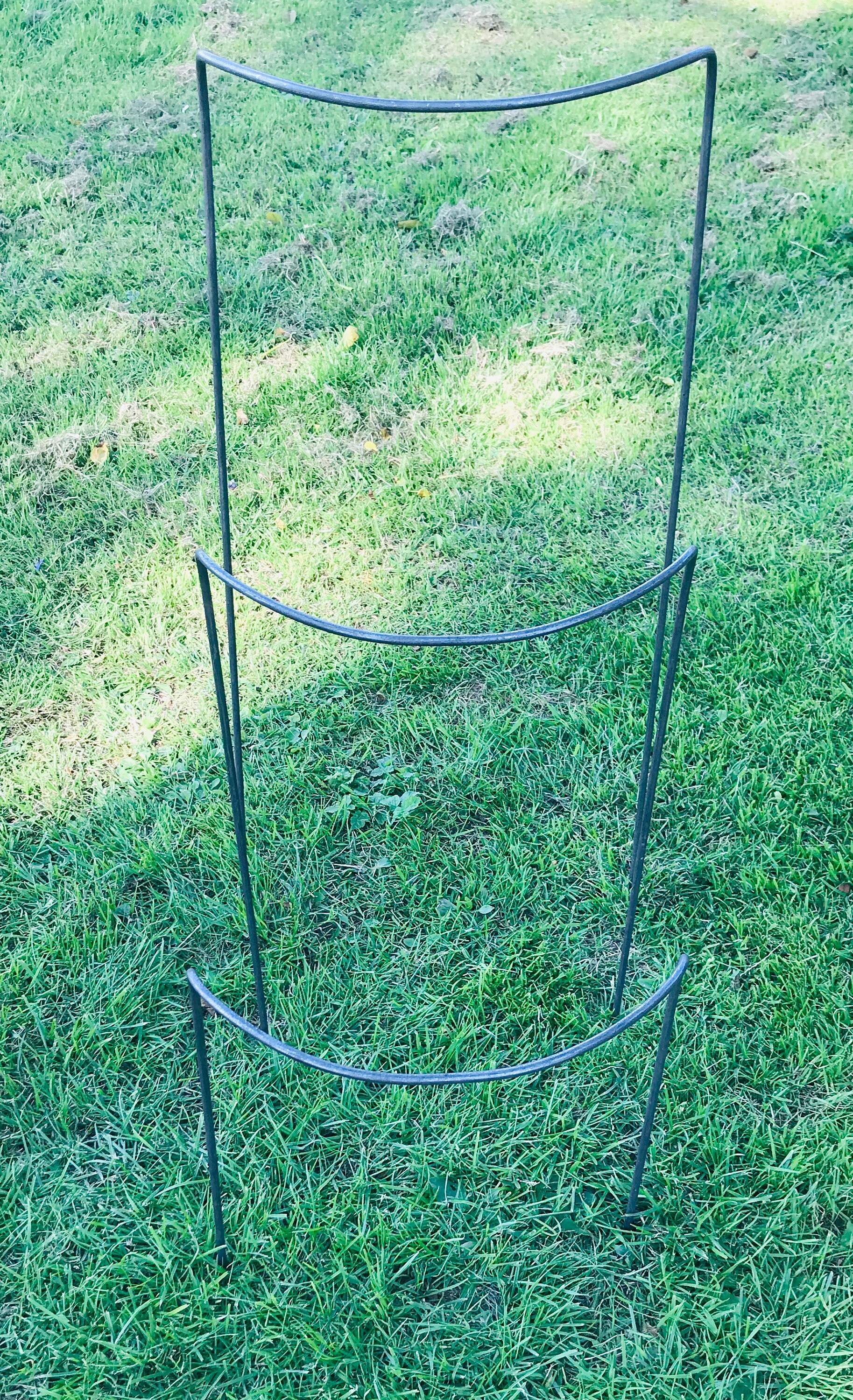 Set of 6 300mm Wide 6mm Metal Plant Supports Mixed Heights. Etsy