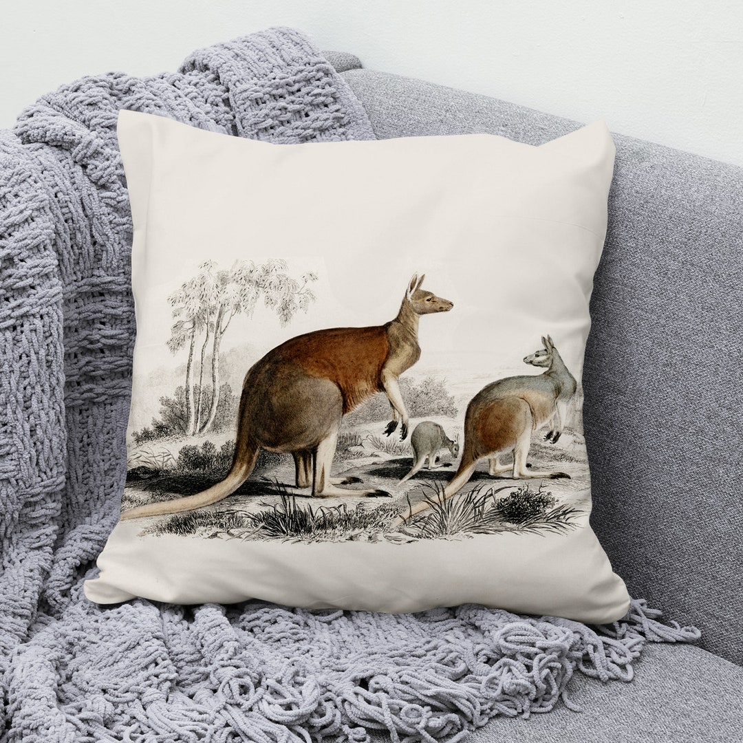 Kangaroo Pillow Cover Macropus Cushion Cover Wild Animal Throw Etsy