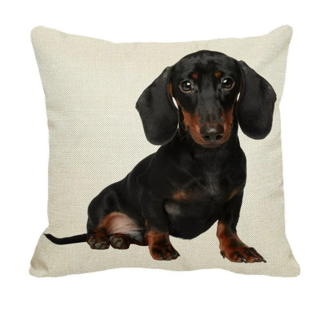 Dachshund Cushion Cover Cute Sausage Dog Pillow Cover Animal Etsy