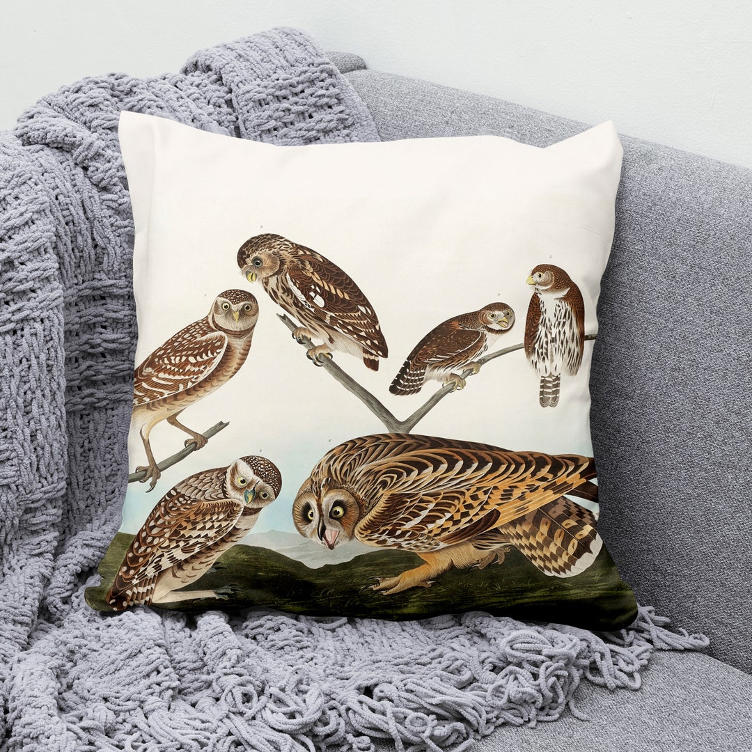 Owl Pillow Cover Owl Species Cushion Cover Birds Throw Pillow Etsy