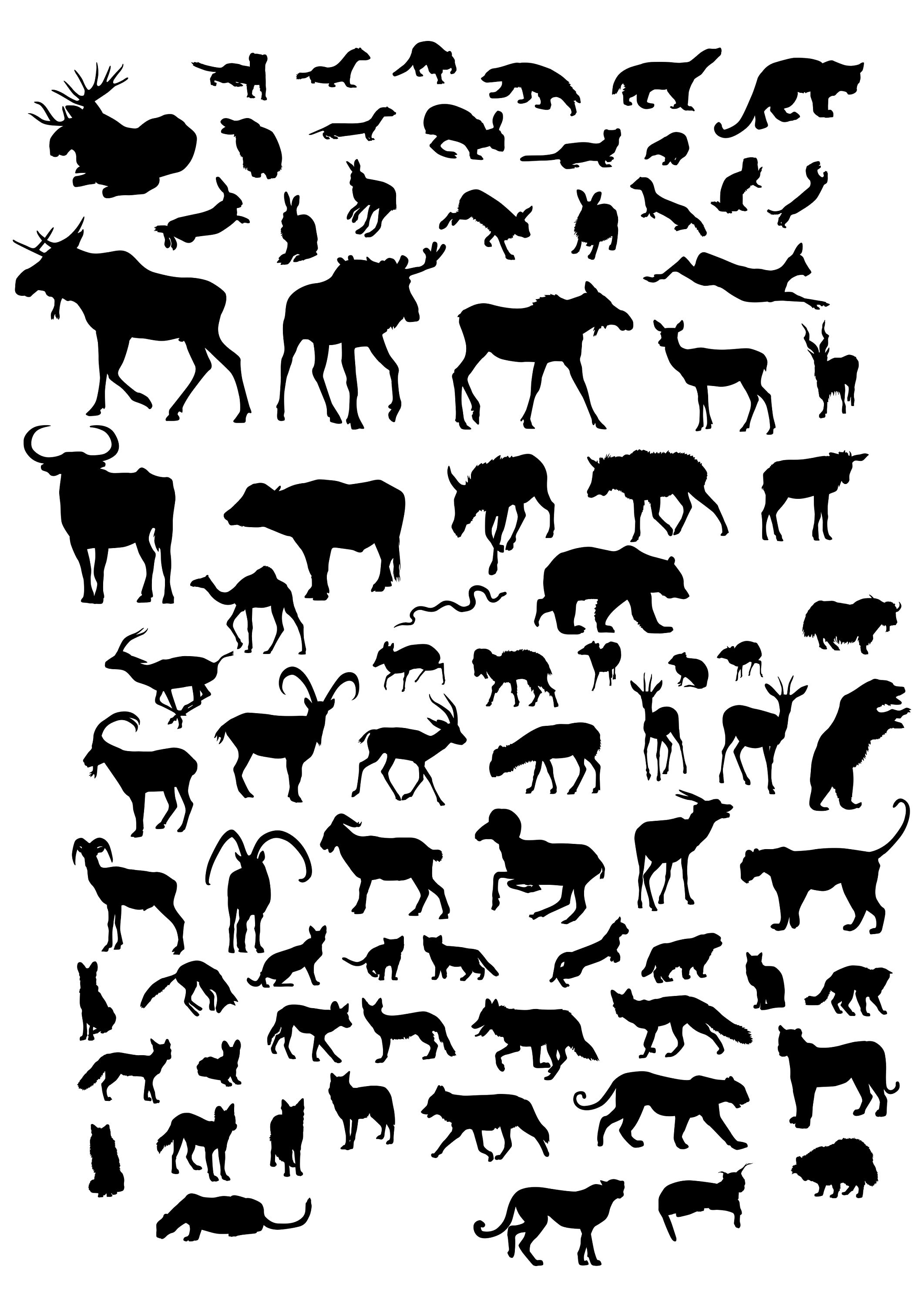 1000 Animals PNG Bundle Animals Silhouette Mega Pack Etsy