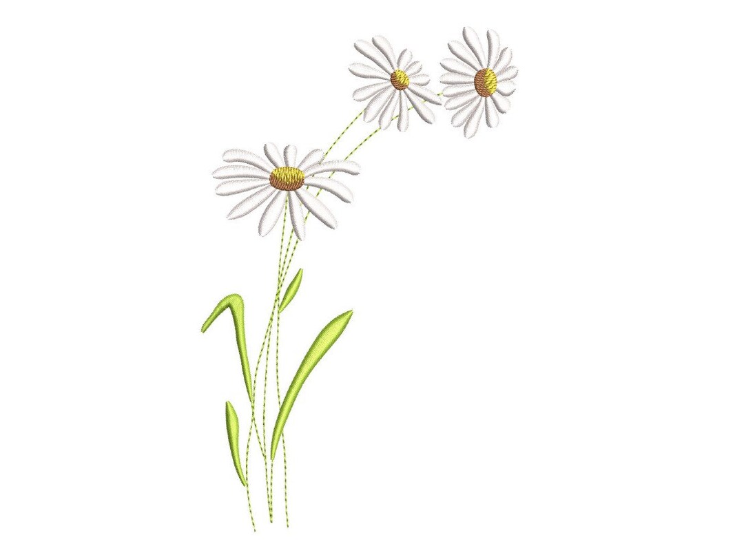 Daisies Embroidery Design, Plant Machine Embroidery File, 5 Sizes