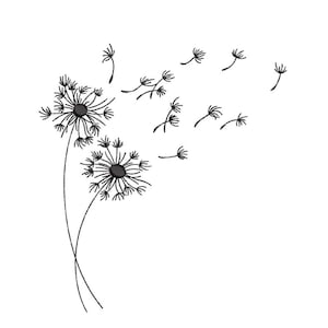 May include: Black and white line drawing of two dandelion flowers with seeds blowing in the wind.