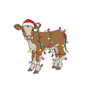 May include: A brown and white calf wearing a red Santa hat is tangled in colorful Christmas lights.