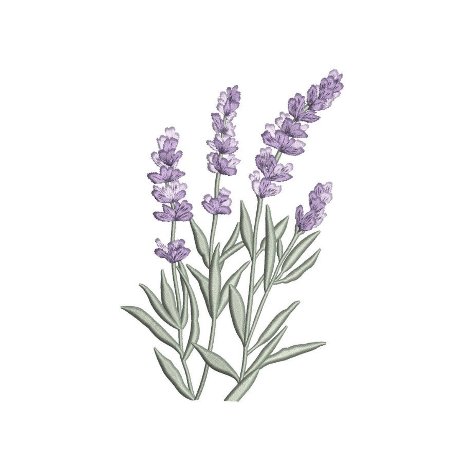Lavender Embroidery Design, 4 Sizes - Etsy