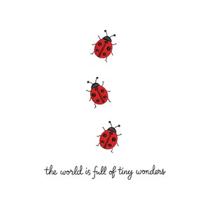 May include: Three red ladybirds with black spots and antennae are arranged vertically on a white background. The phrase "the world is full of tiny wonders" is written in black script at the bottom of the image.