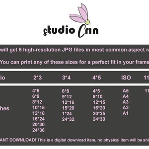 May include: A chart showing the different sizes of printable images in inches, with the corresponding aspect ratios and ISO paper sizes. The chart is titled "Ratio" and "Inches". The text "studio Crin" is at the top of the chart. The text "INSTANT DOWNLOAD! This is a digital download item, no physical item will be shipped" is at the bottom of the chart.