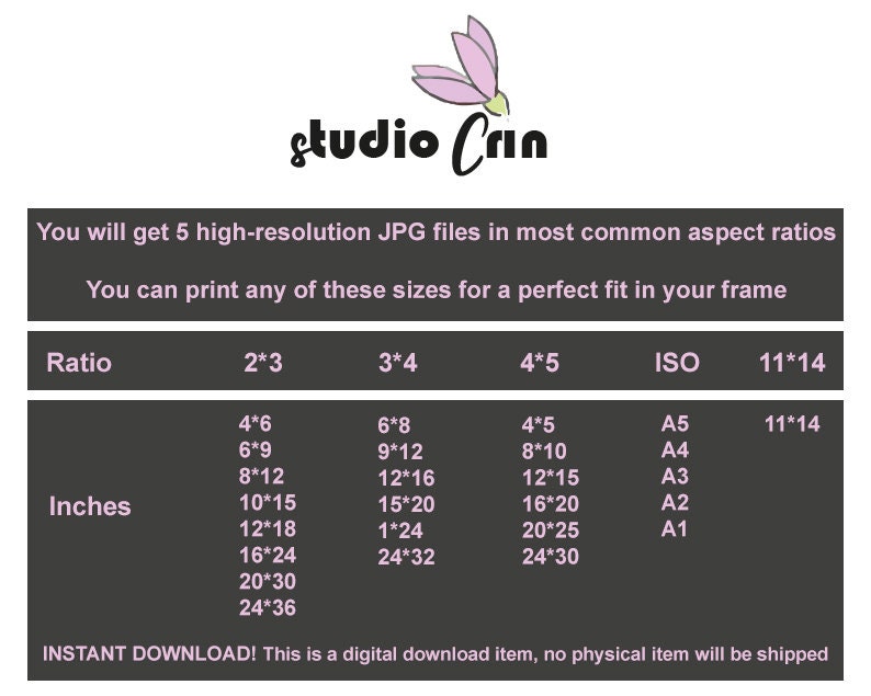 May include: A chart showing the different sizes of printable images in inches, with the corresponding aspect ratios and ISO paper sizes. The chart is titled "Ratio" and "Inches". The text "studio Crin" is at the top of the chart. The text "INSTANT DOWNLOAD! This is a digital download item, no physical item will be shipped" is at the bottom of the chart.