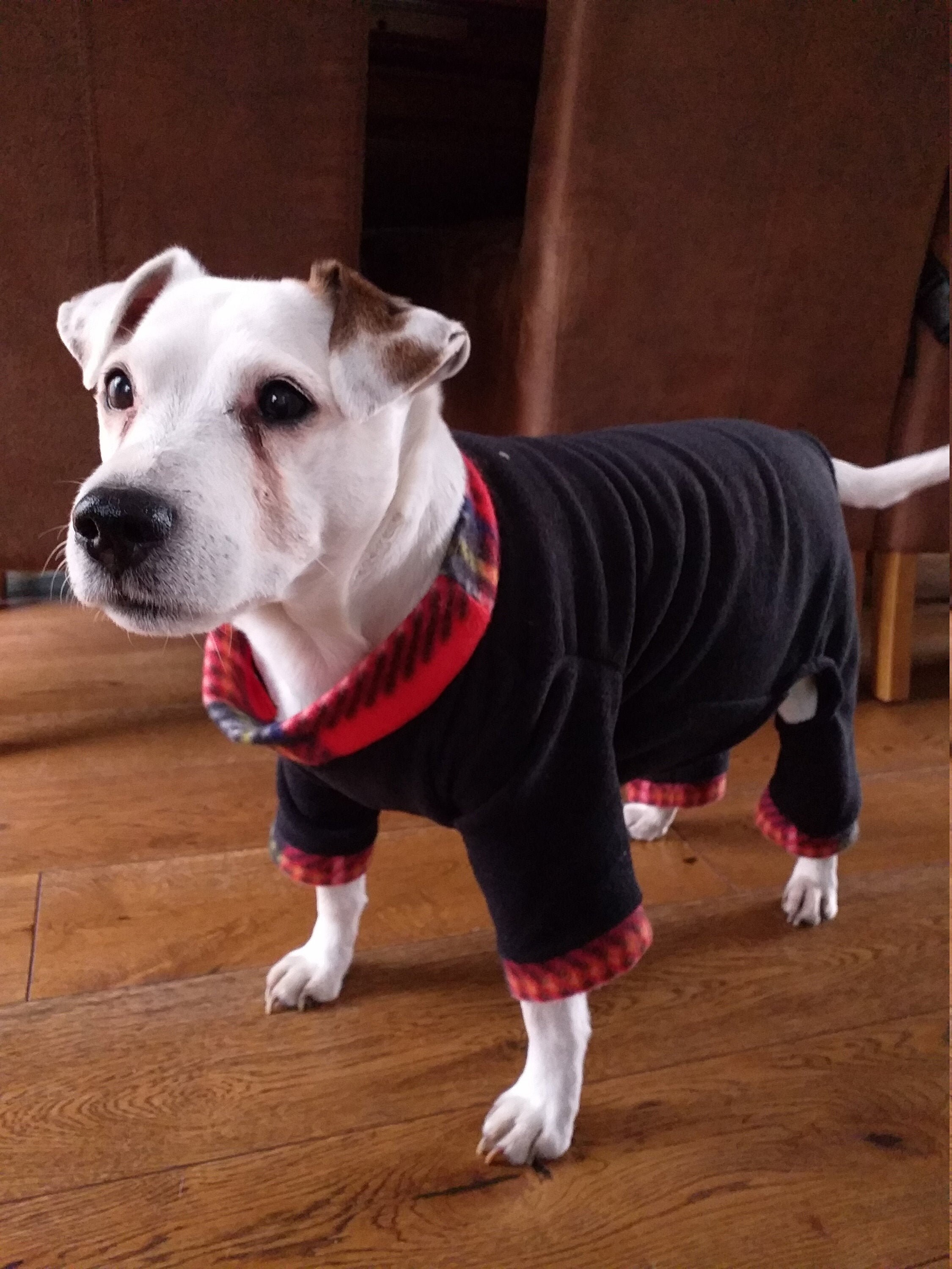 Tartan Cuffed Black Dog Fleece Suit. Long Legged and SlipOn Etsy