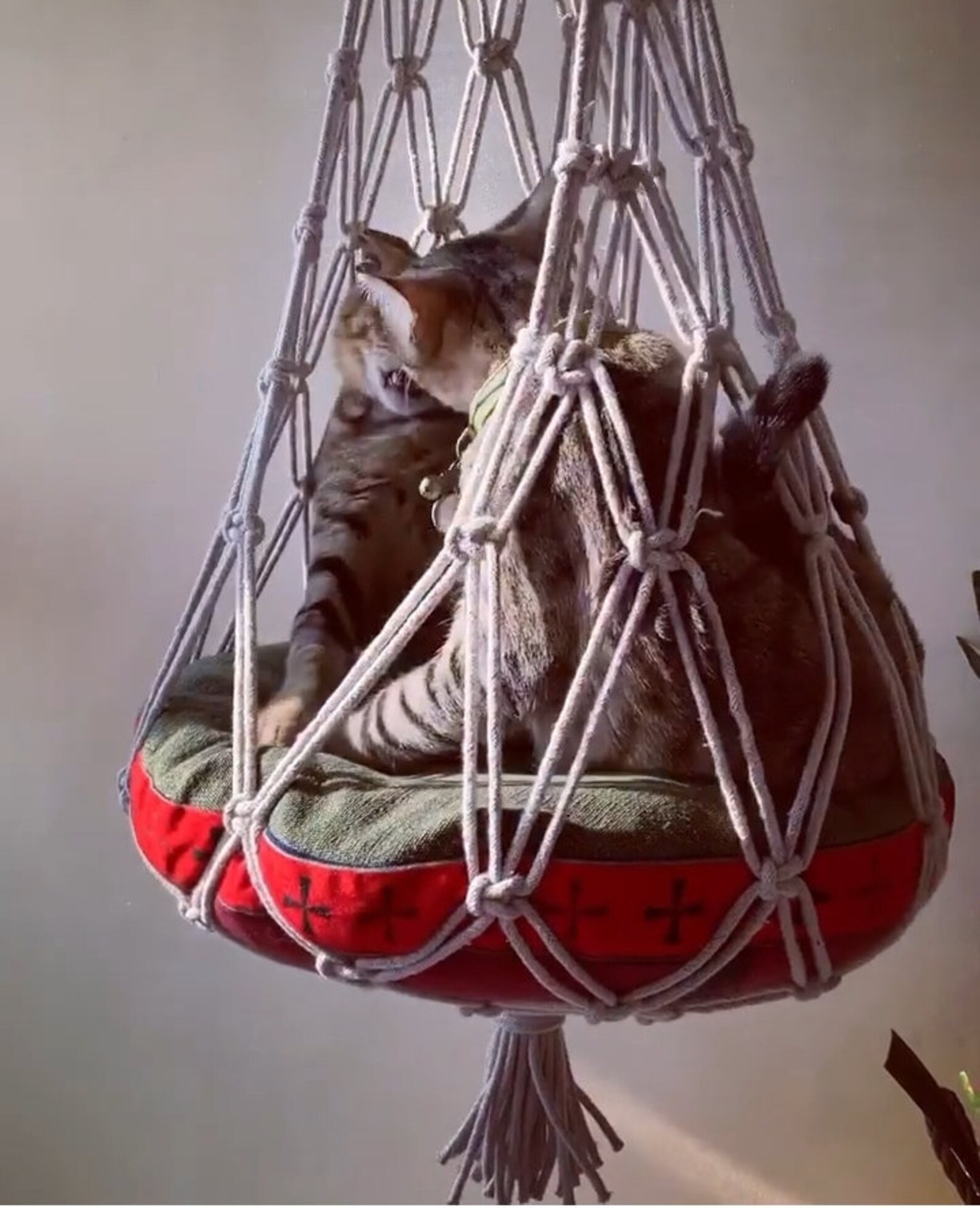 Macrame Hanging Pet Hammock Macrame Cat Hammock Hanging Cat Etsy