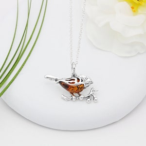 Halsband med litet rödhake i sterlingsilver och bärnsten