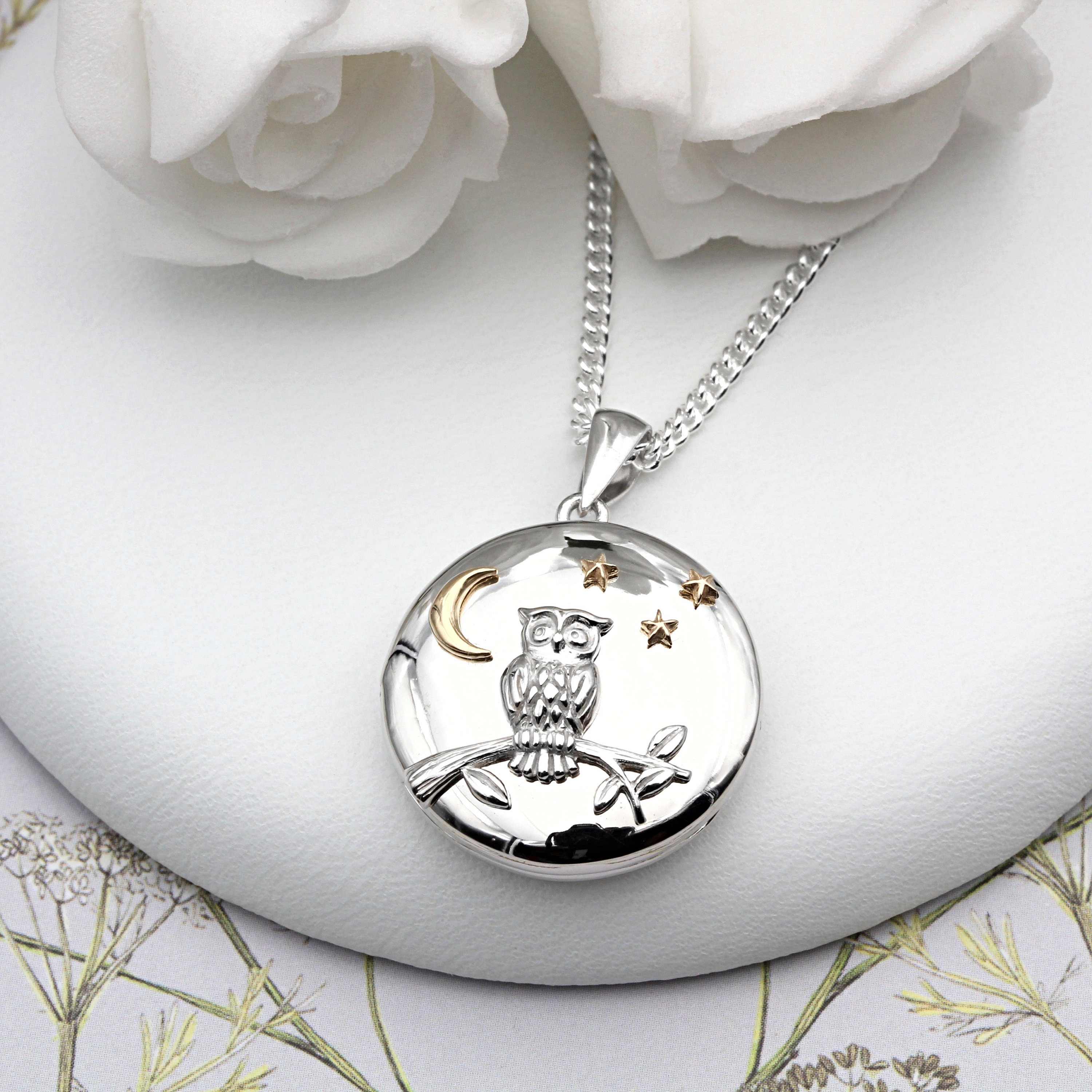 Sterling Silver and 18ct Gold Vermeil Owl and Moon Locket