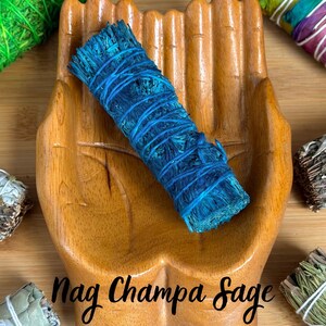 May include: A blue sage bundle wrapped in string resting in a carved wooden hand-shaped dish. The text Nag Champa Sage is centered below the bundle. Other sage bundles in green, rainbow, and natural tones are visible in the corners.