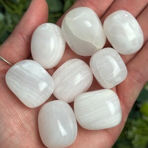 Mangano Calcite Tumbled Stones | Crystal Tumbles | Chakra Crystals | Meditation Stones | Pink Calcite