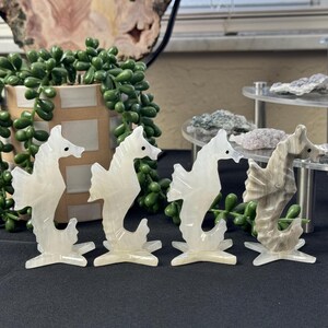 Puede incluir: Cuatro figuritas de caballito de mar blancas talladas en alabastro pulido, cada una sobre una base en forma de estrella. Los caballitos de mar est&aacute;n dispuestos en fila, mirando en la misma direcci&oacute;n.