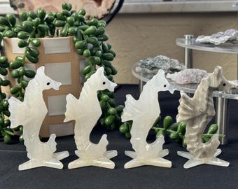 Mexican Onyx Seahorse ~ Crystals and Stones ~ Decor