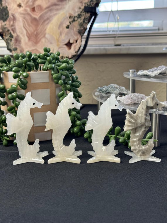 Mexican Onyx Seahorse ~ Crystals and Stones ~ Decor