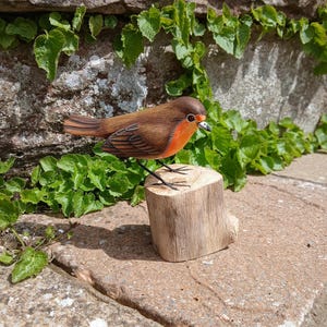 Stunningly realistic handcarved and individually painted life size Robin perched on a wooden stand that measures 12cm from beak to tail.