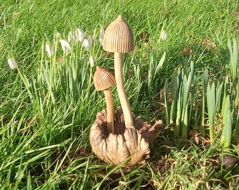 Amazingly realistic Mushroom set carved to a high standard with exquisite detail,suitable for indoor and outdoor use. (16x10cm)