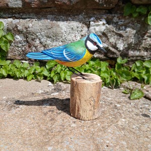 Stunningly realistic handcarved and individually painted life size Bluetit perched on a wooden stand that measures 12cm from beak to tail.